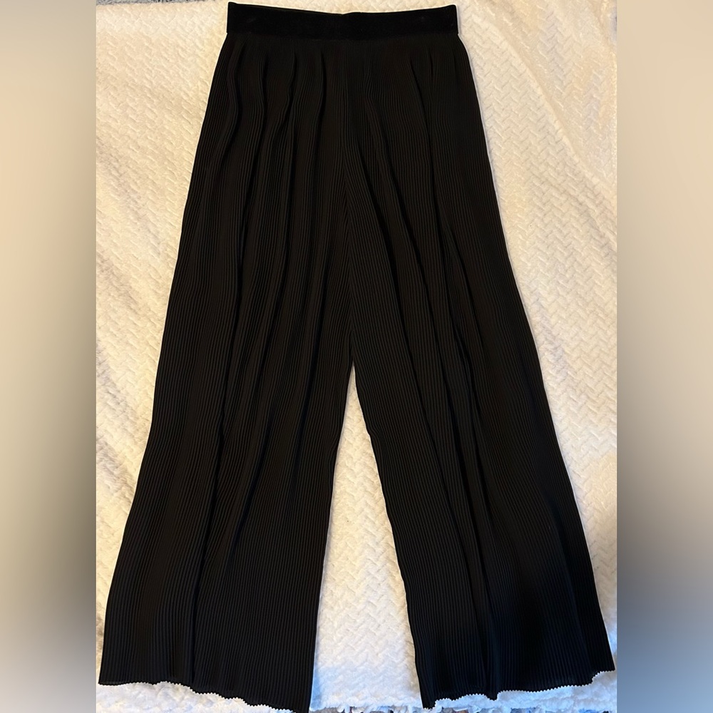 Zara Basic Pants